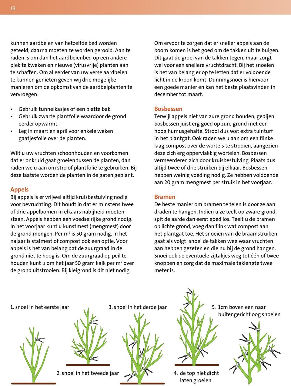 Om al eerder van uw verse aardbeien te kunnen genieten geven wij drie mogelijke manieren om de opkomst van de aardbeiplanten te vervroegen: Gebruik tunnelkasjes of een platte bak.