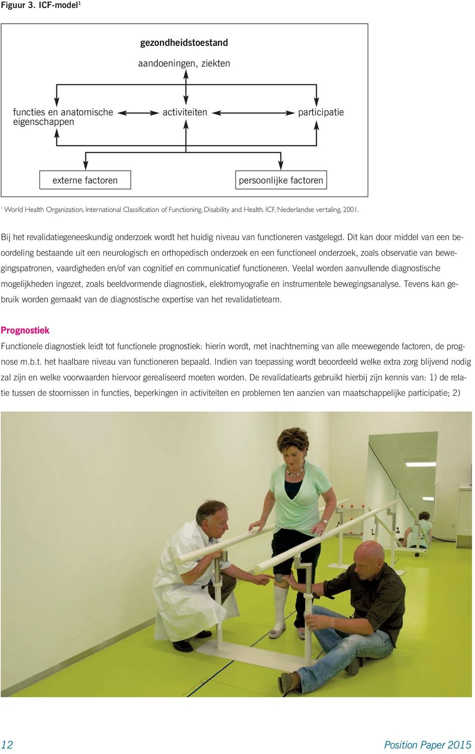 Classification of Functioning, Disability and Health. ICF, Nederlandse vertaling, 2001. Bij het revalidatiegeneeskundig onderzoek wordt het huidig niveau van functioneren vastgelegd.