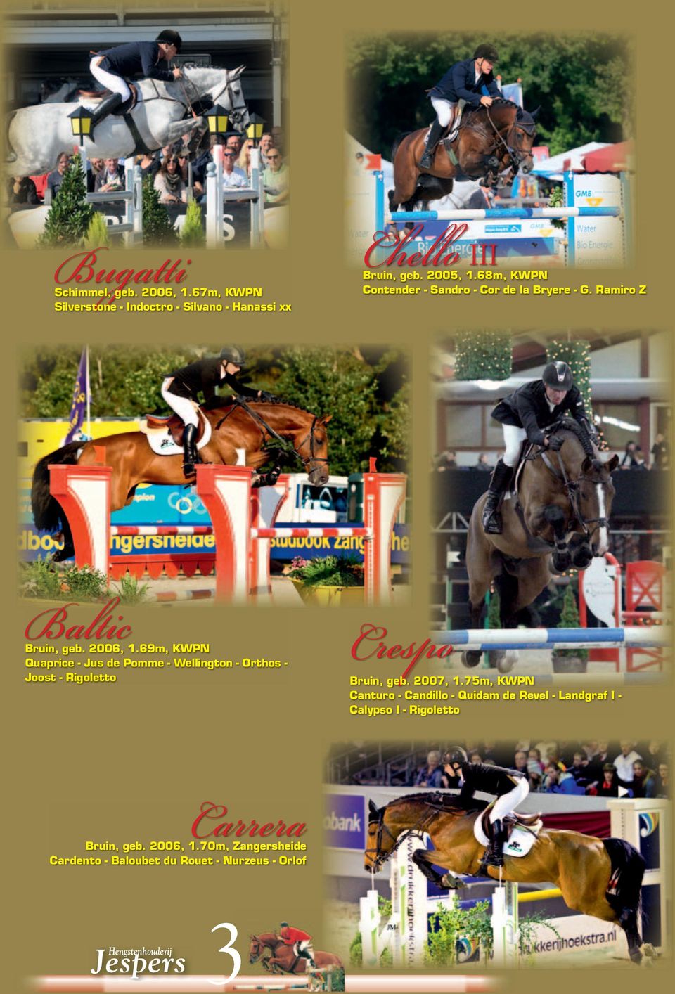 69m, KWPN Quaprice - Jus de Pomme - Wellington - Orthos - Joost - Rigoletto Crespo Bruin, geb. 2007, 1.