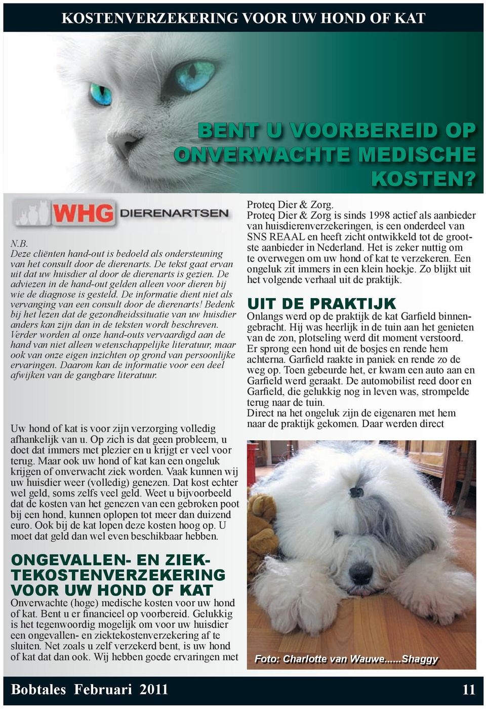 De informatie dient niet als vervanging van een consult door de dierenarts! Bedenk bij het lezen dat de gezondheidssituatie van uw huisdier anders kan zijn dan in de teksten wordt beschreven.