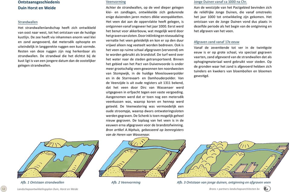 De strandwal die het dichtst bij de kust ligt is van een jongere datum dan de oostelijker gelegen strandwallen.