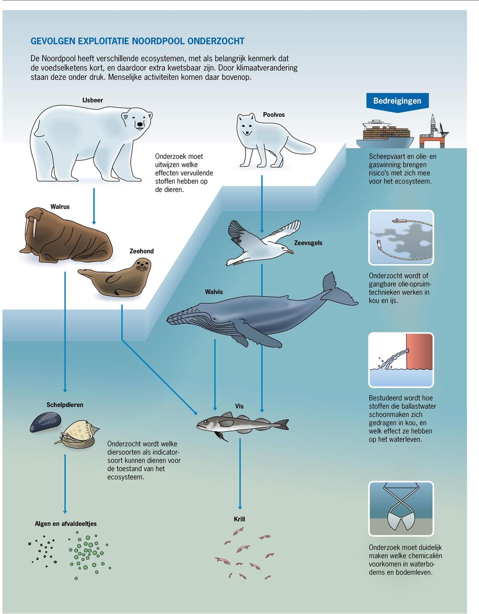 Scheepvaart en olie- en gaswinning brengen risico s met zich mee voor het ecosysteem. Walrus Zeehond Zeevogels Walvis Onderzocht wordt of gangbare olie-opruimtechnieken werken in kou en ijs.