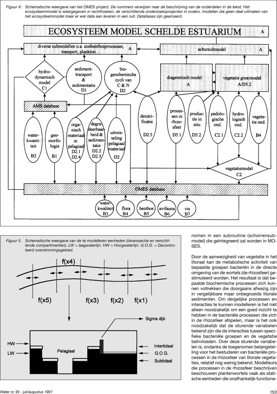 Databases zijn gearceerd. Figuur 5. Schematische weergave van de te modelleren eenheden (dwarssectie en verschillende compartimenten). LW = laagwaterlijn. HW = Hoogwaterlijn. G.