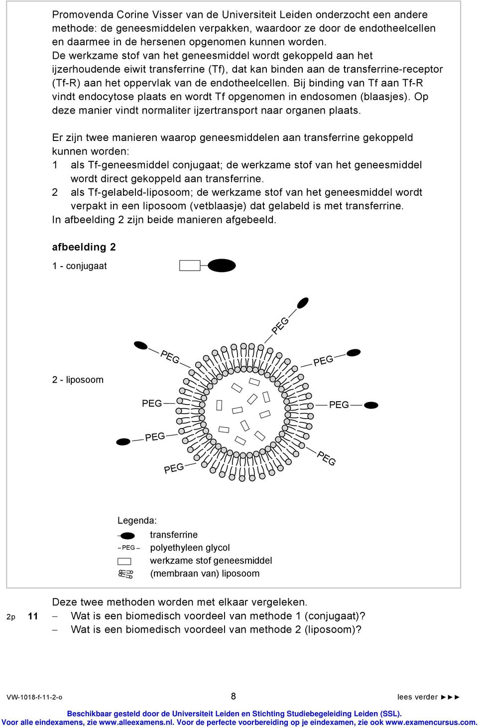 Bij binding van Tf aan Tf-R vindt endocytose plaats en wordt Tf opgenomen in endosomen (blaasjes). Op deze manier vindt normaliter ijzertransport naar organen plaats.