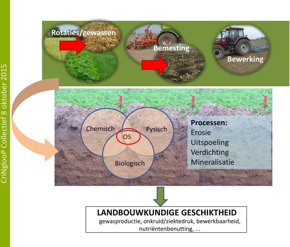 Uitspoeling Verdichting Mineralisatie LANDBOUWKUNDIGE GESCHIKTHEID