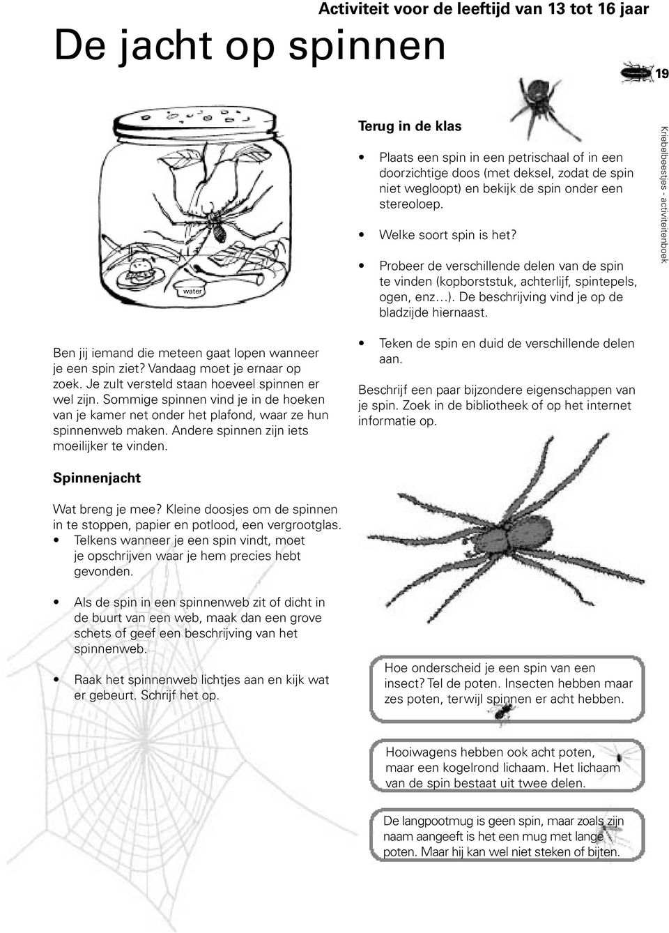 Je zult versteld staan hoeveel spinnen er wel zijn. Sommige spinnen vind je in de hoeken van je kamer net onder het plafond, waar ze hun spinnenweb maken.