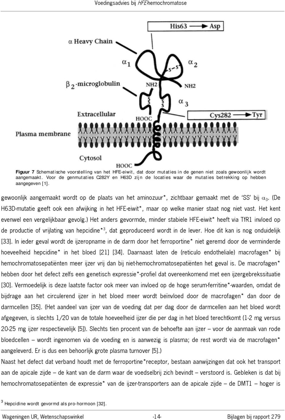 (De H63D-mutatie geeft ook een afwijking in het HFE-eiwit*, maar op welke manier staat nog niet vast. Het kent evenwel een vergelijkbaar gevolg.