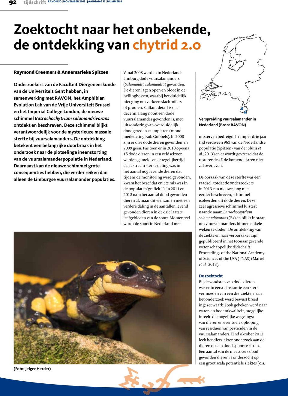 Universiteit Brussel en het Imperial College London, de nieuwe schimmel Batrachochytrium salamandrivorans ontdekt en beschreven.