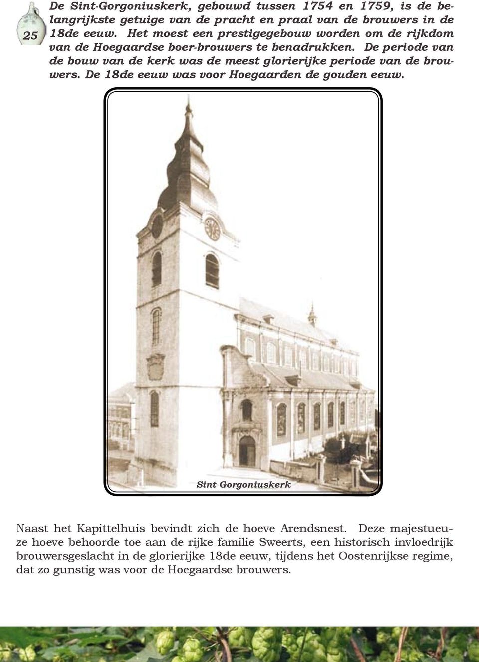 De periode van de bouw van de kerk was de meest glorierijke periode van de brouwers. De 18de eeuw was voor Hoegaarden de gouden eeuw.