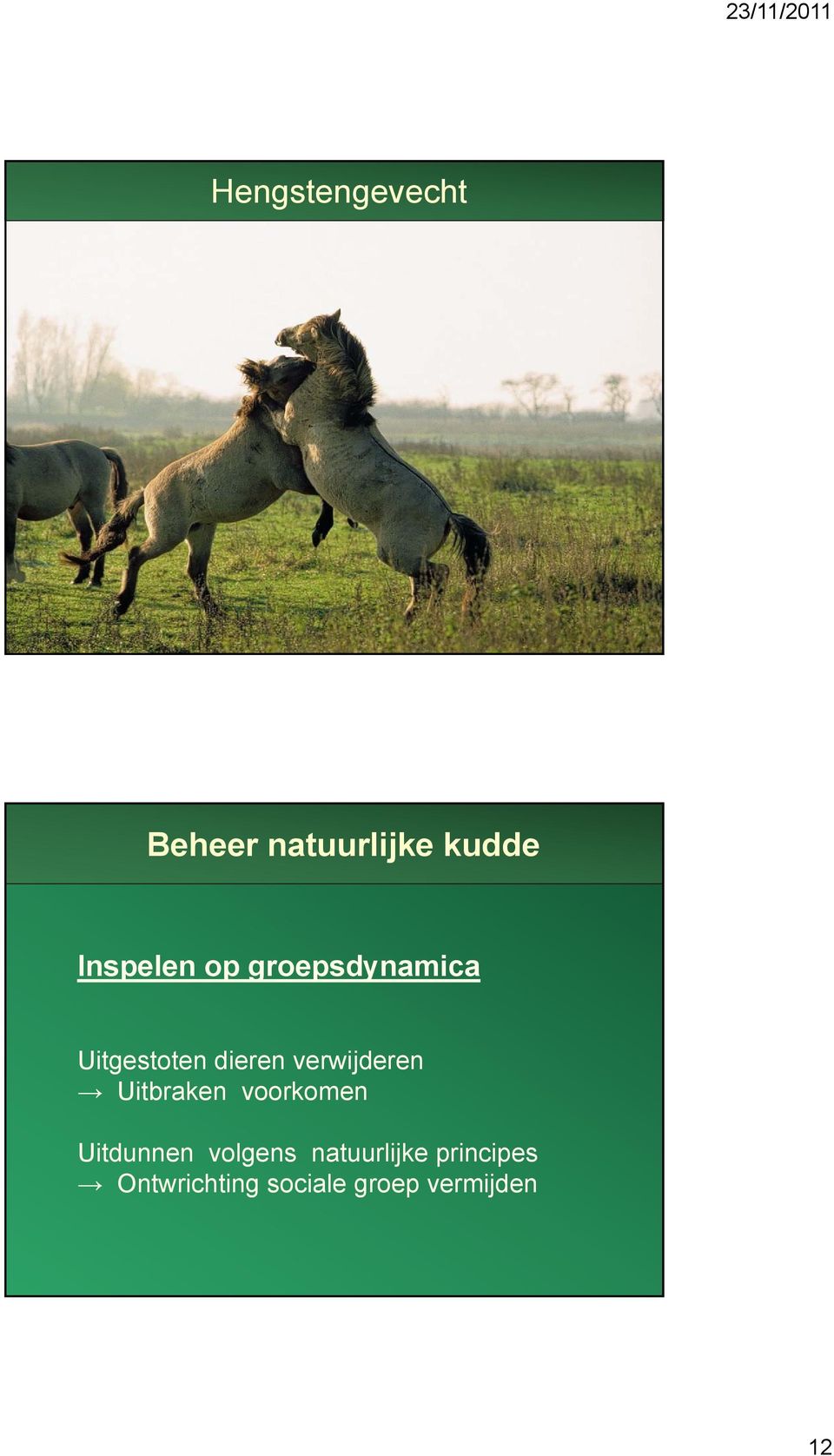 Uitbraken voorkomen Uitdunnen volgens natuurlijke