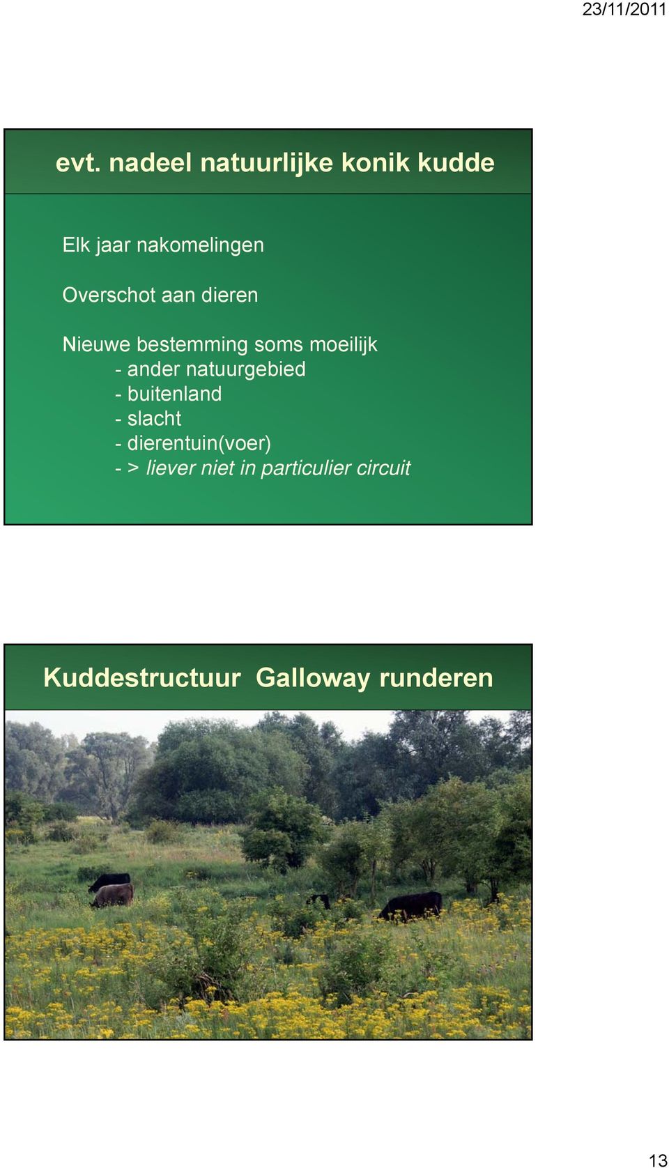 natuurgebied - buitenland -slacht - dierentuin(voer) ->