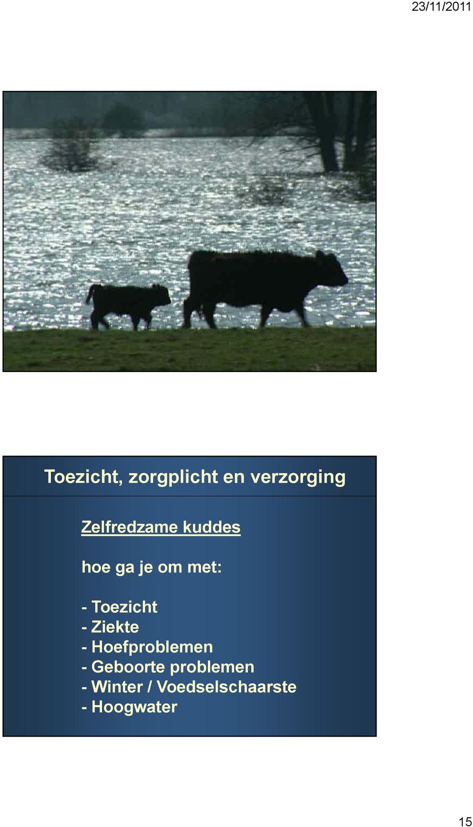 -Toezicht - Ziekte - Hoefproblemen -