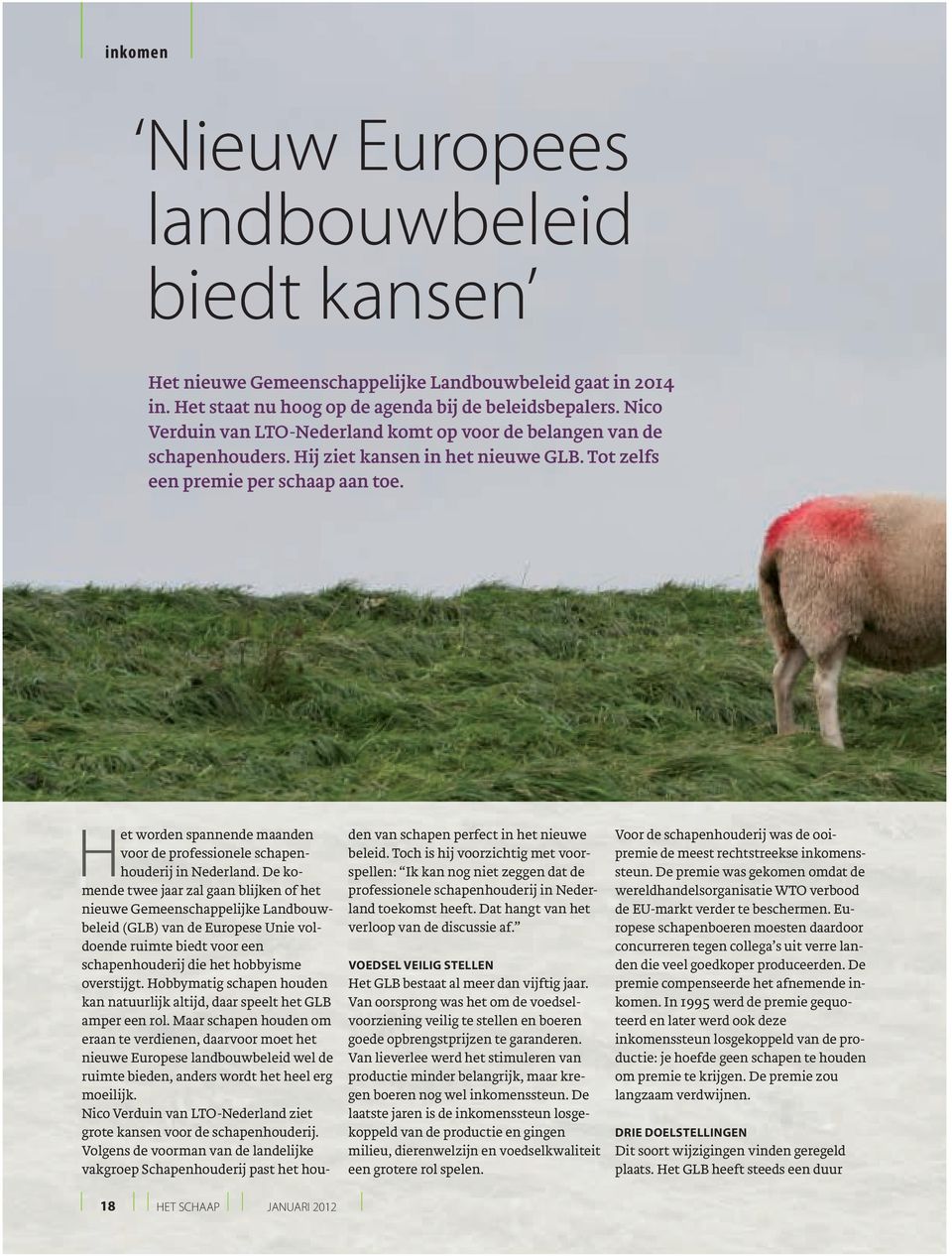 Het worden spannende maanden voor de professionele schapenhouderij in Nederland.