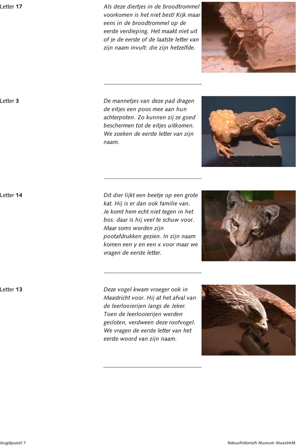 Zo kunnen zij ze goed beschermen tot de eitjes uitkomen. We zoeken de eerste letter van zijn naam. Letter 14 Dit dier lijkt een beetje op een grote kat. Hij is er dan ook familie van.