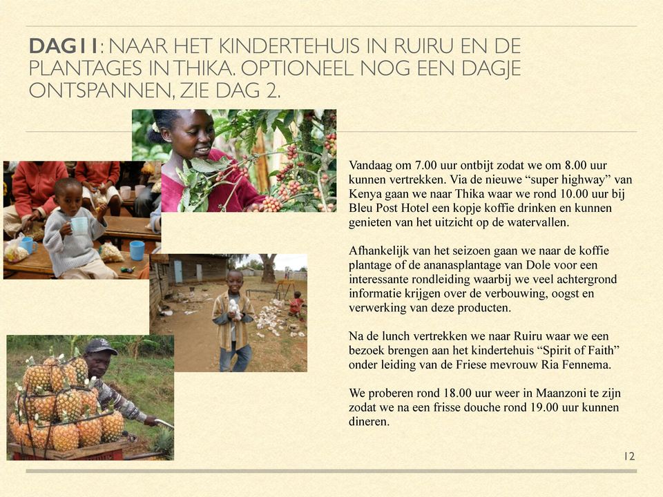 Afhankelijk van het seizoen gaan we naar de koffie plantage of de ananasplantage van Dole voor een interessante rondleiding waarbij we veel achtergrond informatie krijgen over de verbouwing, oogst en