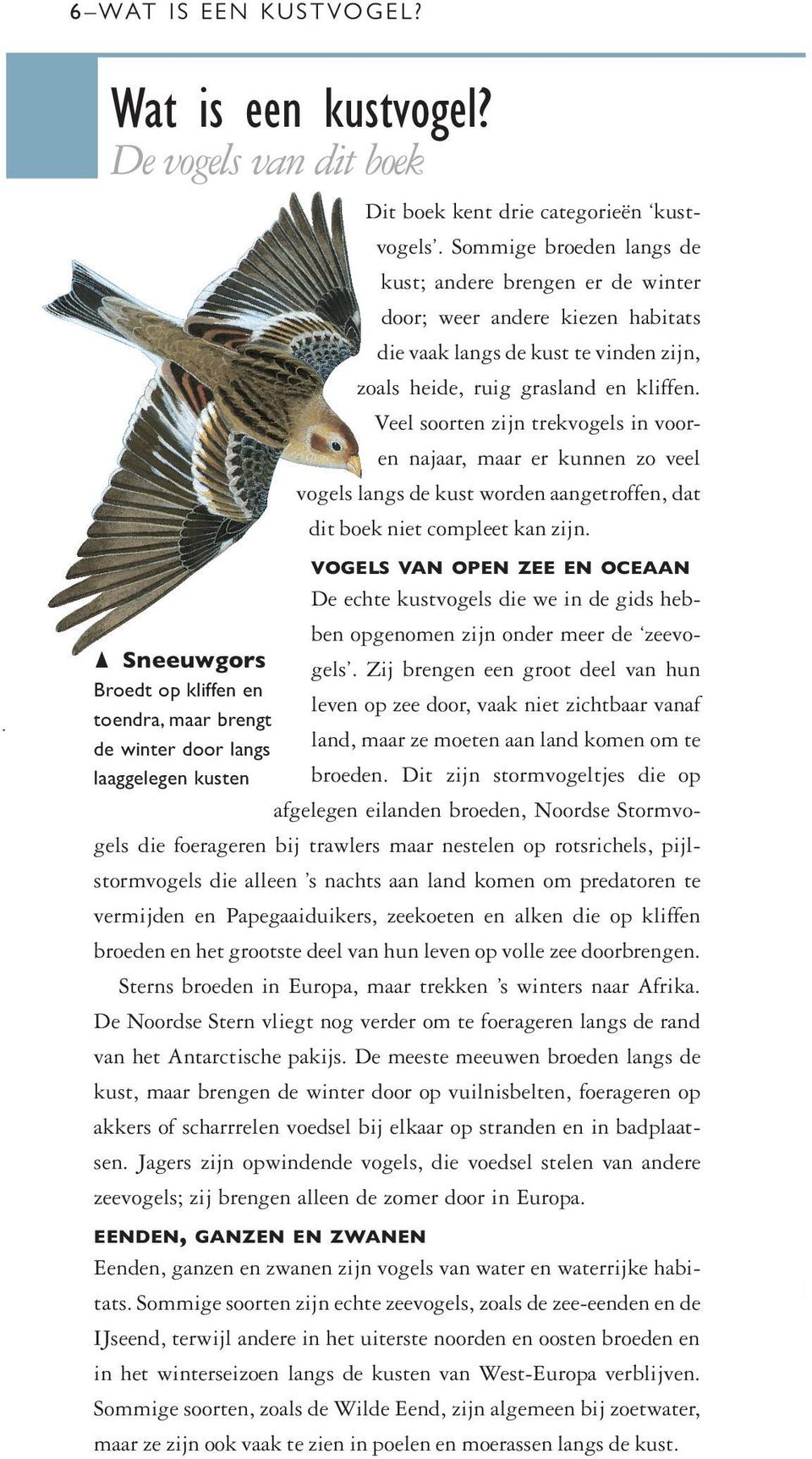 Veel soorten zijn trekvogels in vooren najaar, maar er kunnen zo veel vogels langs de kust worden aangetroffen, dat dit boek niet compleet kan zijn.