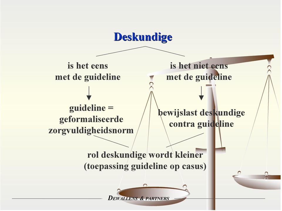 zorgvuldigheidsnorm bewijslast deskundige contra