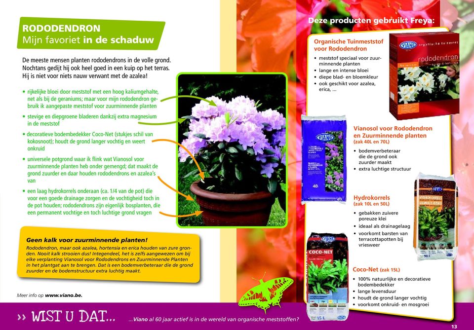 rijkelijke bloei door meststof met een hoog kaliumgehalte, net als bij de geraniums; maar voor mijn rododendron gebruik ik aangepaste meststof voor zuurminnende planten stevige en diepgroene bladeren