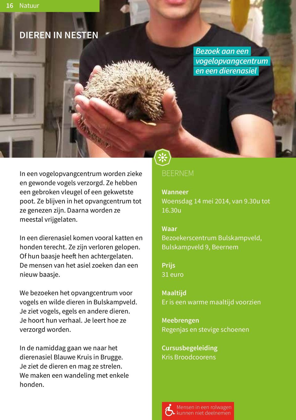 Of hun baasje heeft hen achtergelaten. De mensen van het asiel zoeken dan een nieuw baasje. We bezoeken het opvangcentrum voor vogels en wilde dieren in Bulskampveld.