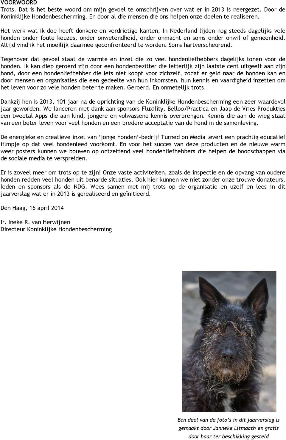 In Nederland lijden nog steeds dagelijks vele honden onder foute keuzes, onder onwetendheid, onder onmacht en soms onder onwil of gemeenheid.