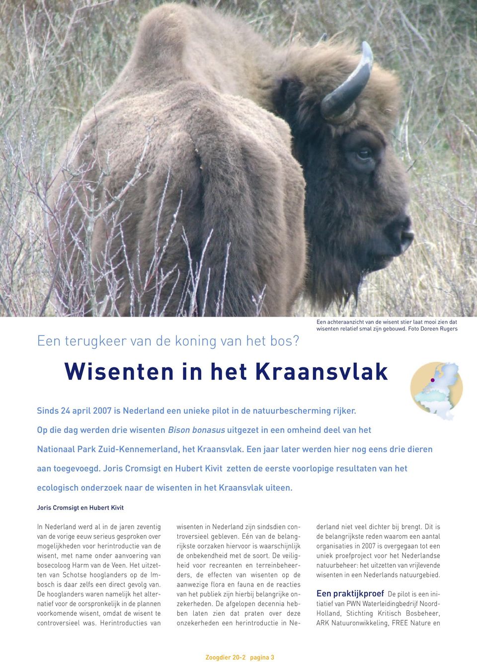 Op die dag werden drie wisenten Bison bonasus uitgezet in een omheind deel van het Nationaal Park Zuid-Kennemerland, het Kraansvlak. Een jaar later werden hier nog eens drie dieren aan toegevoegd.