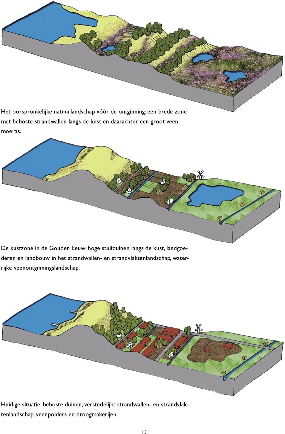 De kustzone in de Gouden Eeuw: hoge stuifduinen langs de kust, landgoederen en landbouw in het strandwallen-