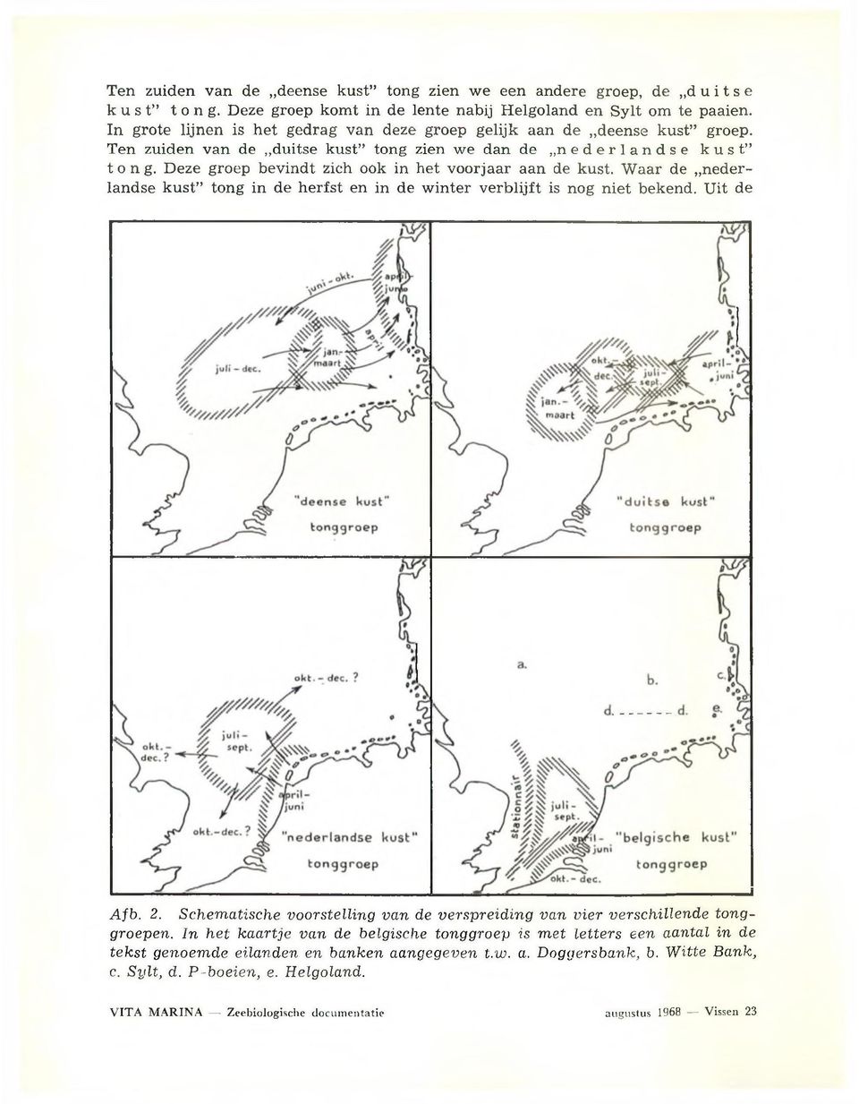 Deze groep bevindt zich ook in h et voorjaar aan de kust. W aar de nederlandse k u st tong in de h erfst en in de w in ter v erb lijft is nog n ie t bekend. U it de A fb. 2.