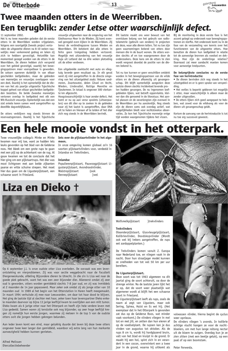 Volgens een soortgelijk Zweeds project vertonden de uitgezette dieren na 8-10 weken nauwelijks meer verkennend gedrag en leken zij zich te hebben gevestigd.