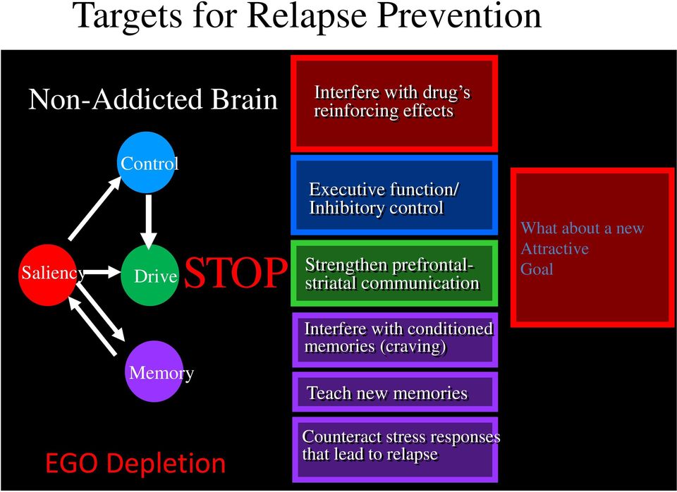 prefrontalstriatal communication What about a new Attractive Goal Memory Memory Interfere with