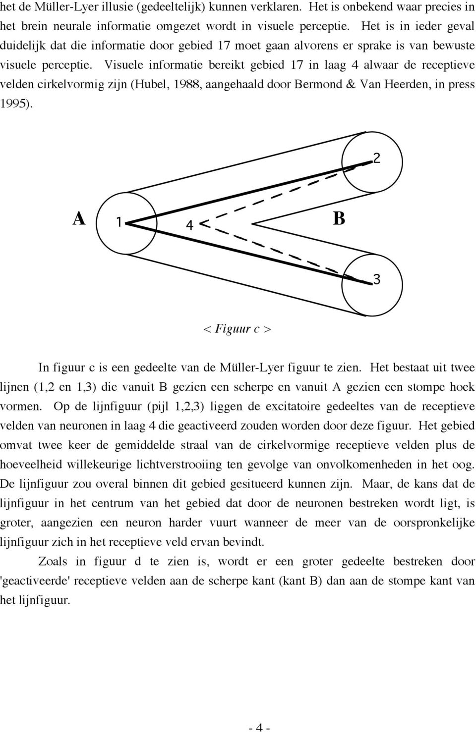 Visuele informatie bereikt gebied 17 in laag 4 alwaar de receptieve velden cirkelvormig zijn (Hubel, 1988, aangehaald door Bermond & Van Heerden, in press 1995).