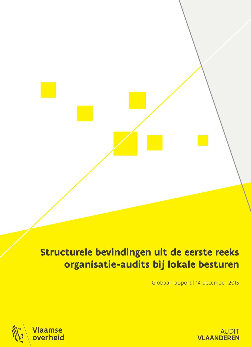 organisatie-audits bij