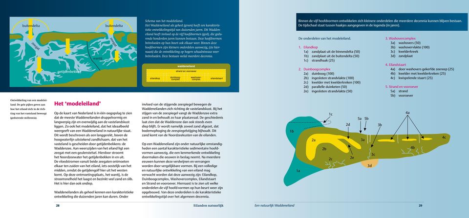 vastelandskust liggen. Zo ook het modeleiland, dat het ideaalbeeld weergeeft van een Waddeneiland in natuurlijke staat.
