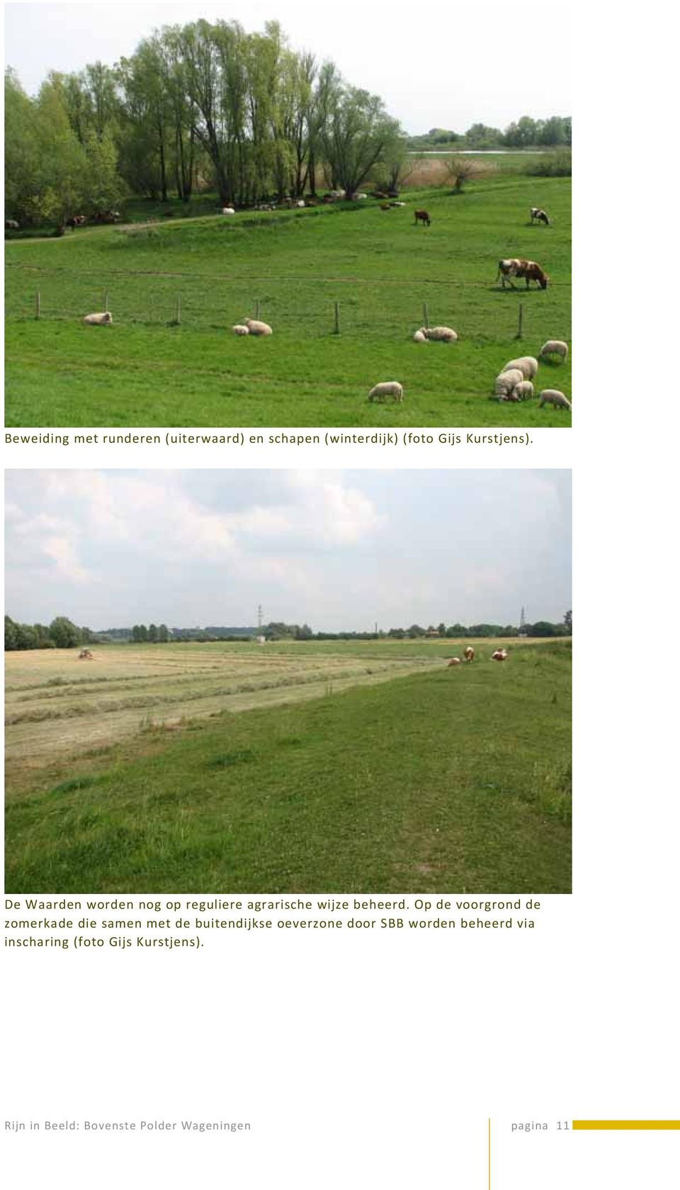 Op de voorgrond de zomerkade die samen met de buitendijkse oeverzone door SBB