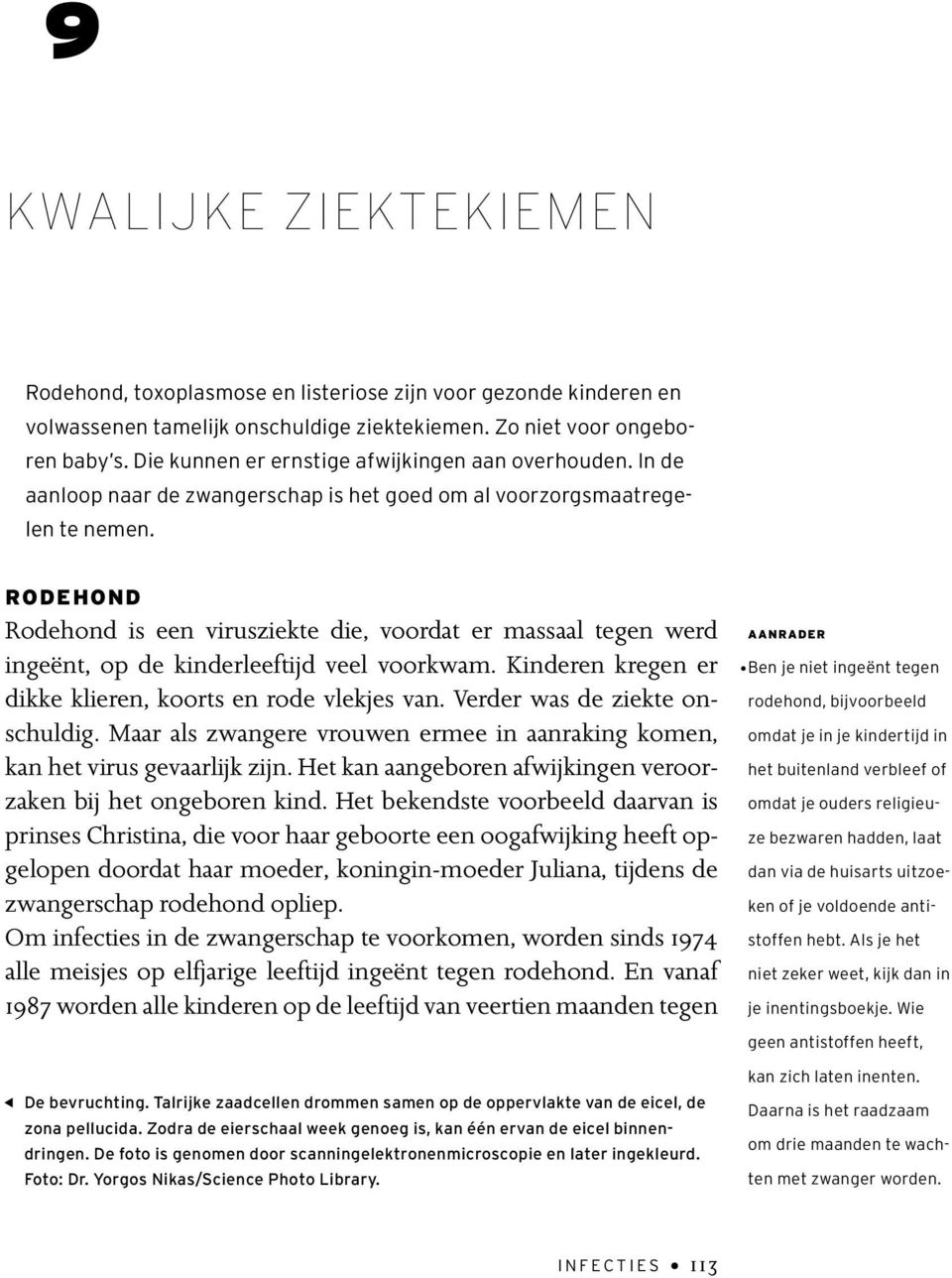 RODEHOND Rodehond is een virusziekte die, voordat er massaal tegen werd ingeënt, op de kinderleeftijd veel voorkwam. Kinderen kregen er dikke klieren, koorts en rode vlekjes van.