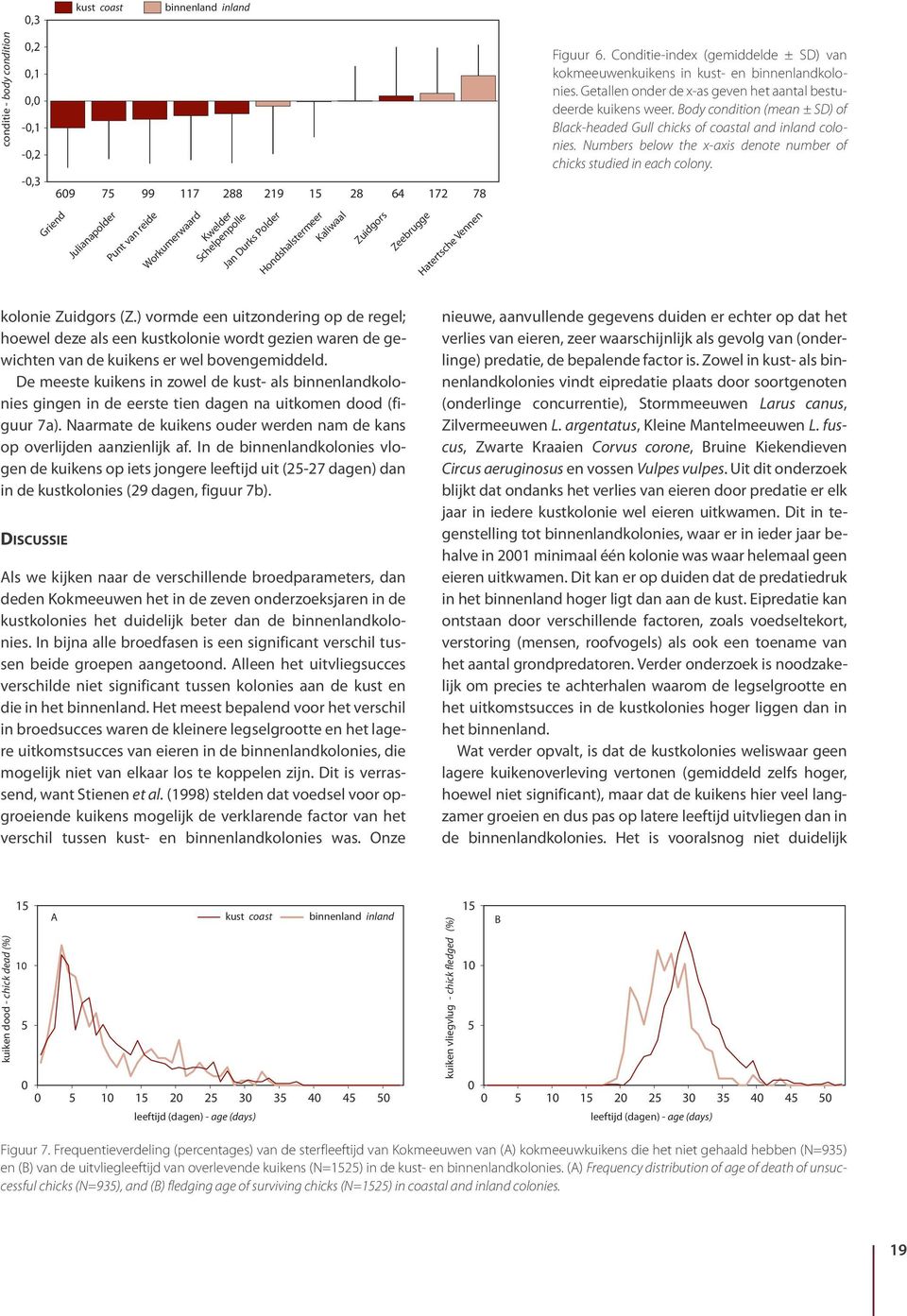 Getallen onder de x-as geven het aantal bestudeerde kuikens weer. Body condition (mean ± SD) of Black-headed Gull chicks of coastal and inland colonies.