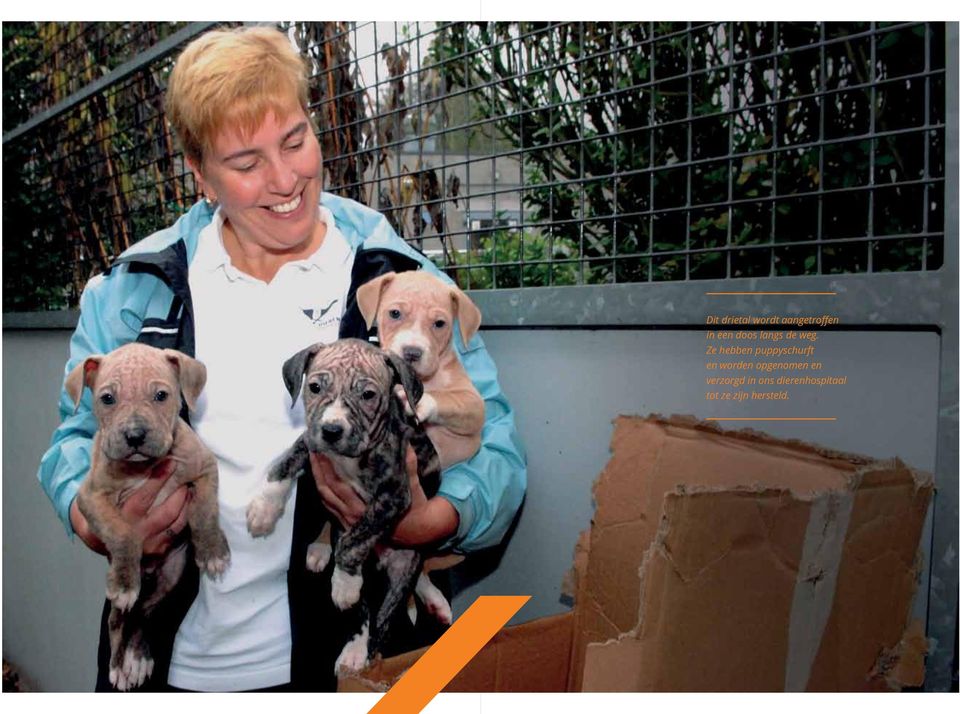 ons dierenhospitaal tot ze zijn hersteld.