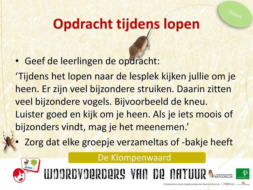 Daarin zitten veel bijzondere vogels. Bijvoorbeeld de kneu.