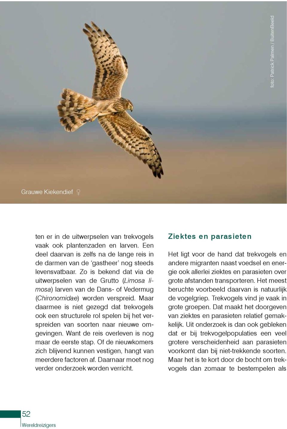 Zo is bekend dat via de uitwerpselen van de Grutto (Limosa limosa) larven van de Dans- of Vedermug (Chironomidae) worden verspreid.