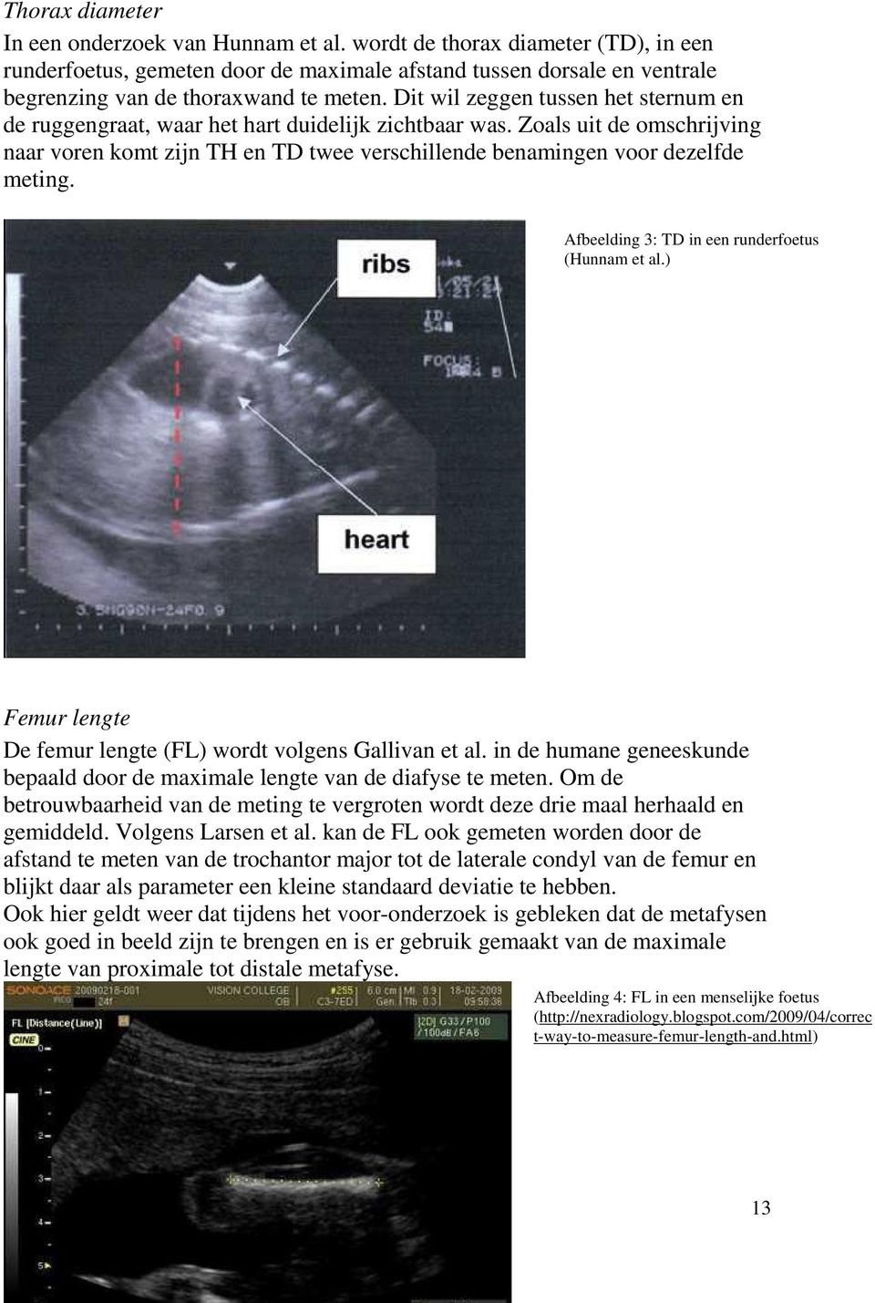 Dit wil zeggen tussen het sternum en de ruggengraat, waar het hart duidelijk zichtbaar was. Zoals uit de omschrijving naar voren komt zijn TH en TD twee verschillende benamingen voor dezelfde meting.