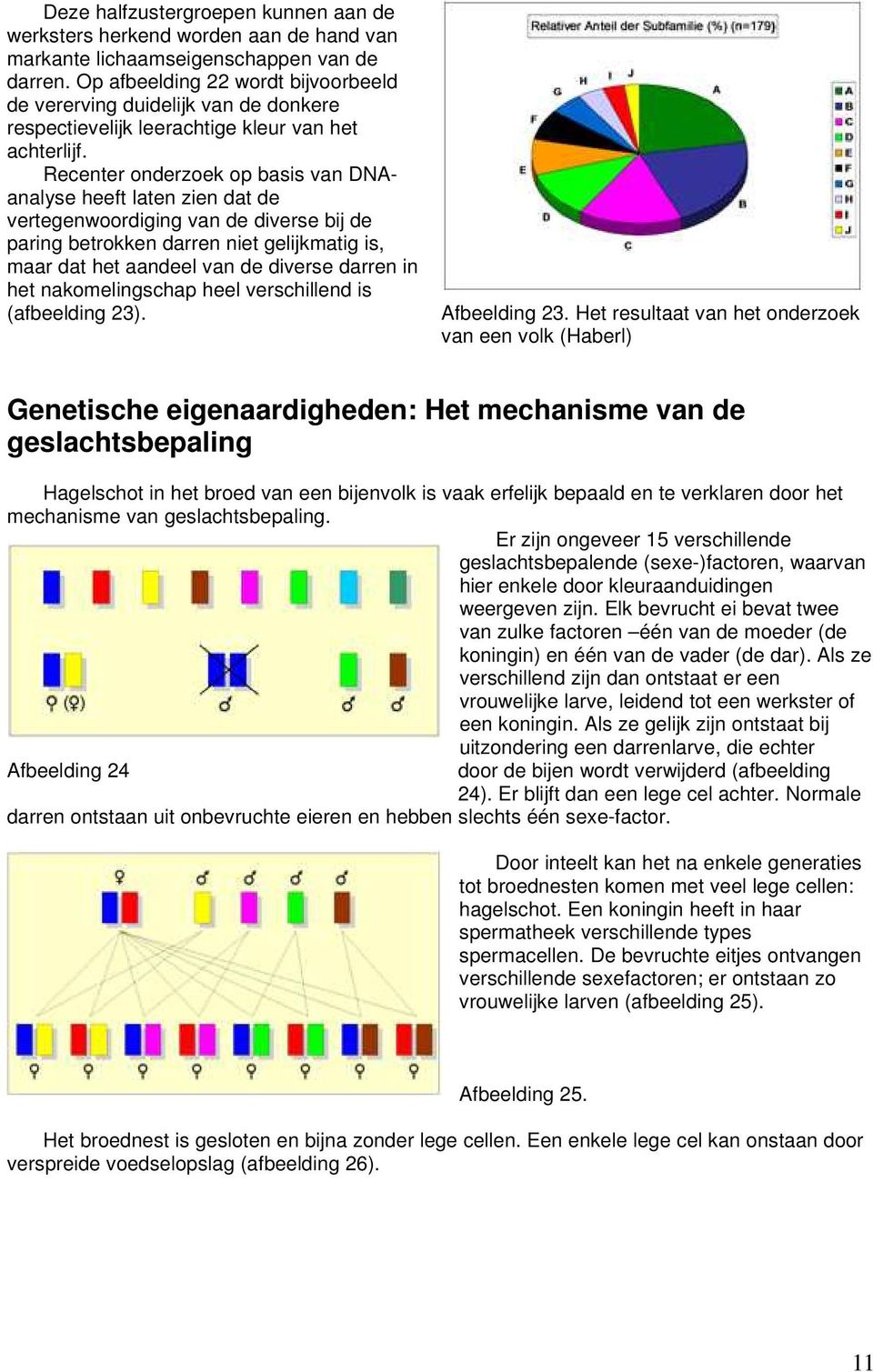 Recenter onderzoek op basis van DNAanalyse heeft laten zien dat de vertegenwoordiging van de diverse bij de paring betrokken darren niet gelijkmatig is, maar dat het aandeel van de diverse darren in