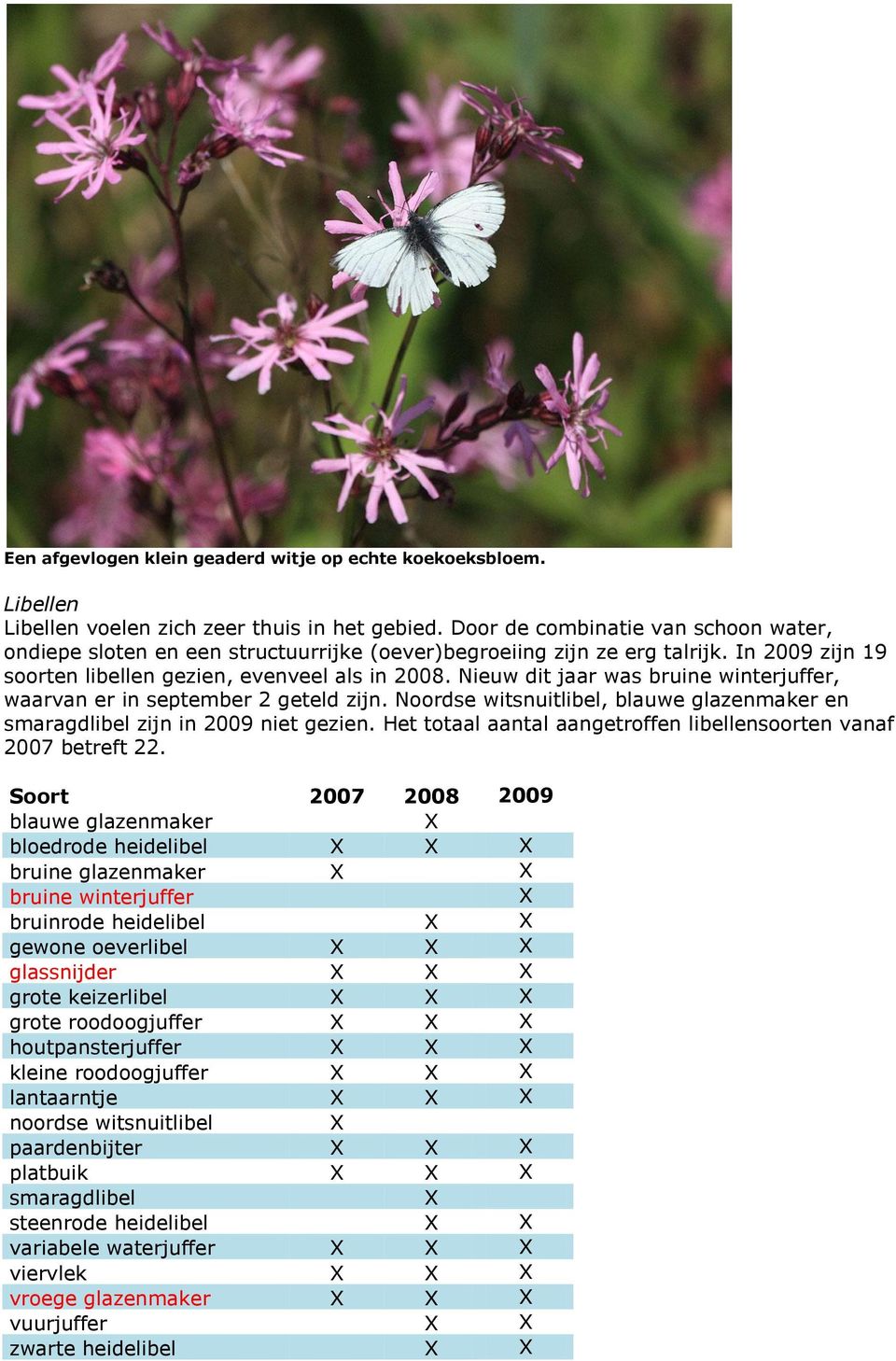 Nieuw dit jaar was bruine winterjuffer, waarvan er in september 2 geteld zijn. Noordse witsnuitlibel, blauwe glazenmaker en smaragdlibel zijn in 2009 niet gezien.