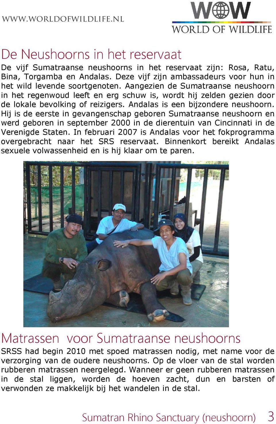 Hij is de eerste in gevangenschap geboren Sumatraanse neushoorn en werd geboren in september 2000 in de dierentuin van Cincinnati in de Verenigde Staten.