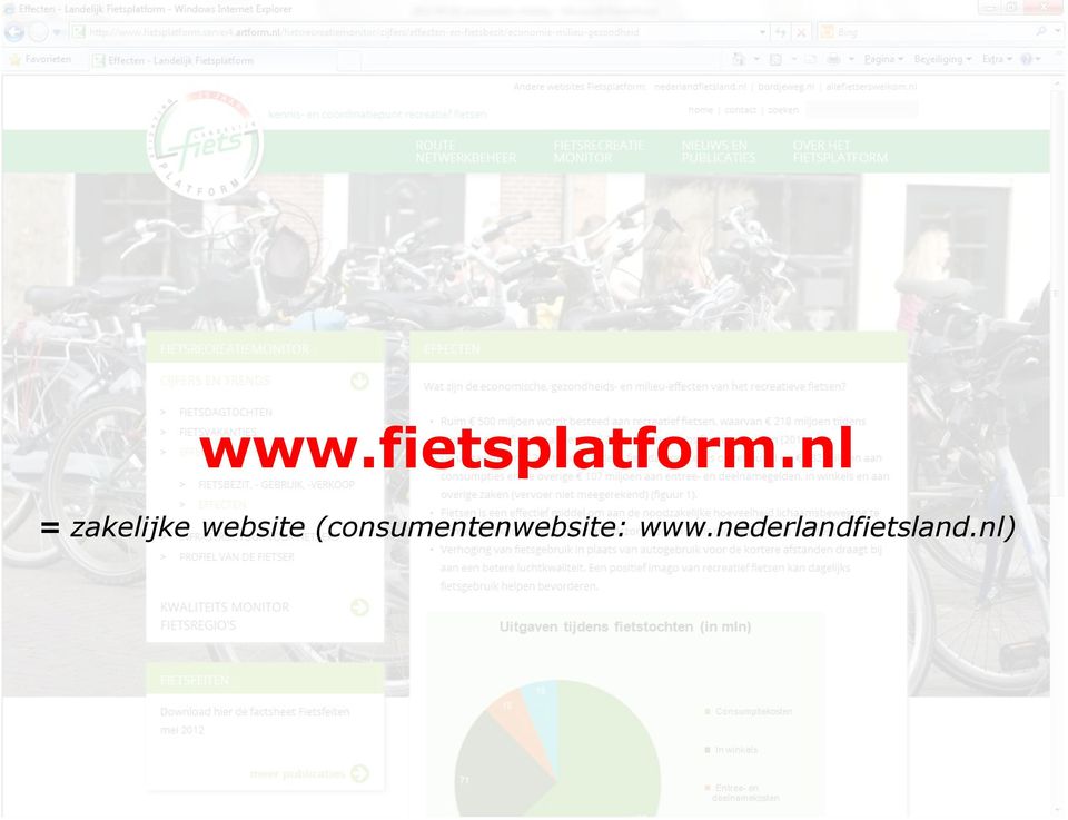 nl = zakelijke website