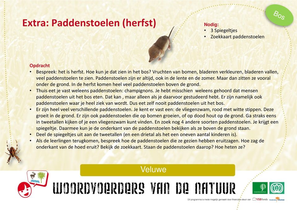 In de herfst komen heel veel paddenstoelen boven de grond. Thuis eet je vast weleens paddenstoelen: champignons. Je hebt misschien weleens gehoord dat mensen paddenstoelen uit het bos eten.