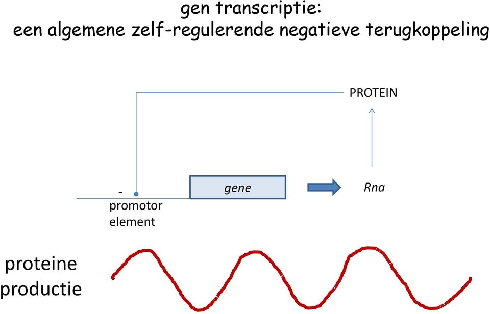 terugkoppeling PROTEIN -