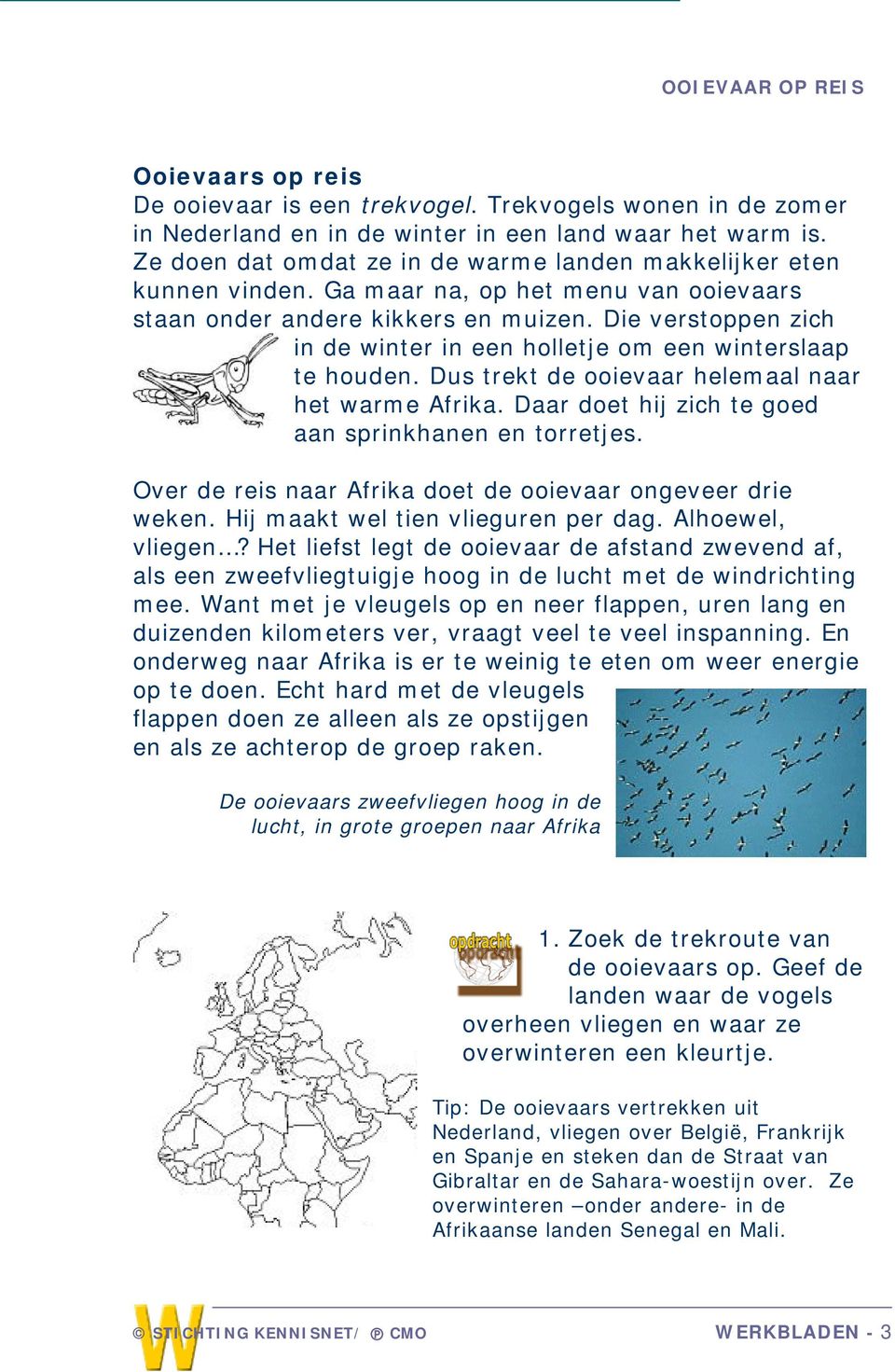 Die verstoppen zich in de winter in een holletje om een winterslaap te houden. Dus trekt de ooievaar helemaal naar het warme Afrika. Daar doet hij zich te goed aan sprinkhanen en torretjes.