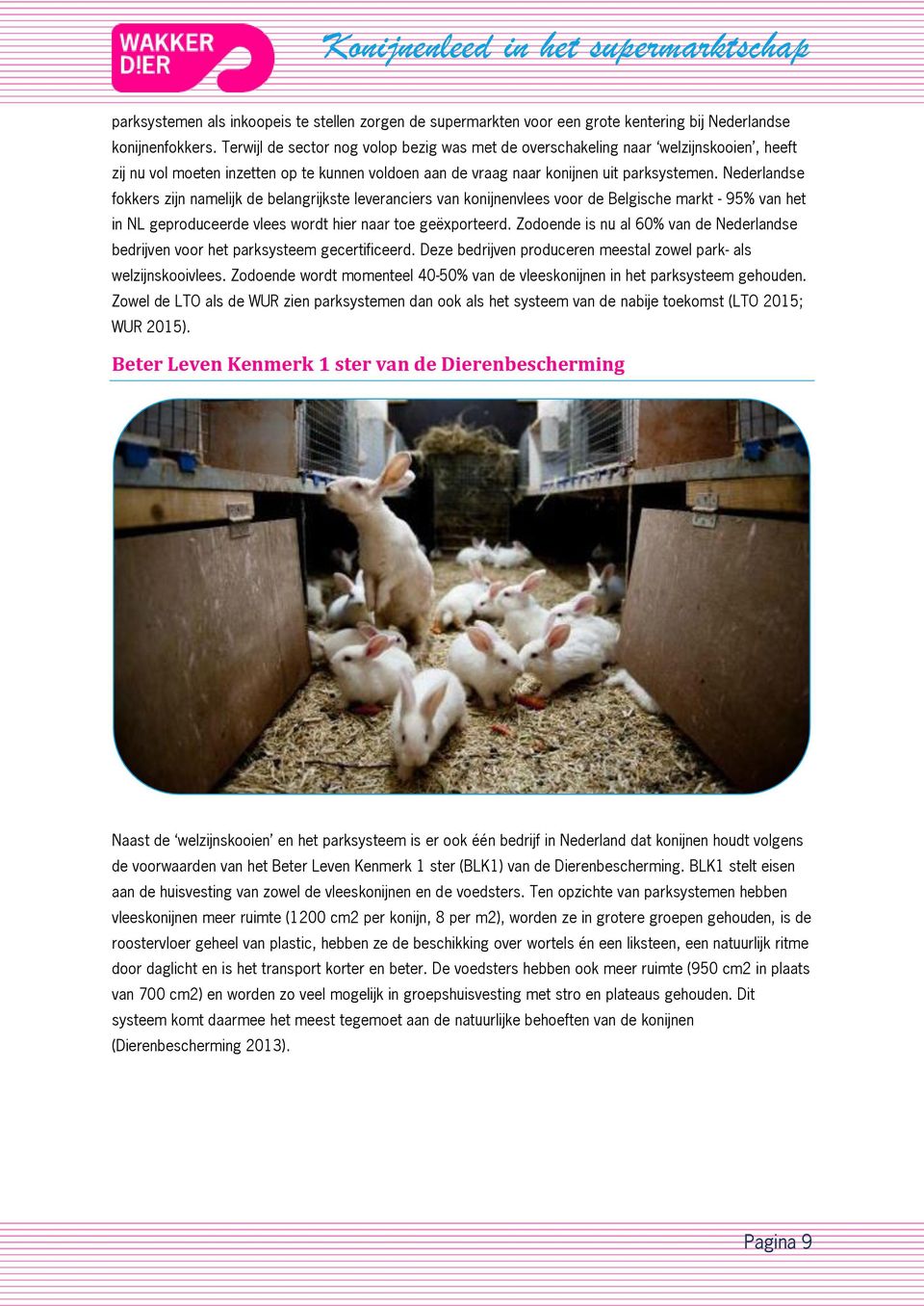 Nederlandse fokkers zijn namelijk de belangrijkste leveranciers van konijnenvlees voor de Belgische markt - 95% van het in NL geproduceerde vlees wordt hier naar toe geëxporteerd.