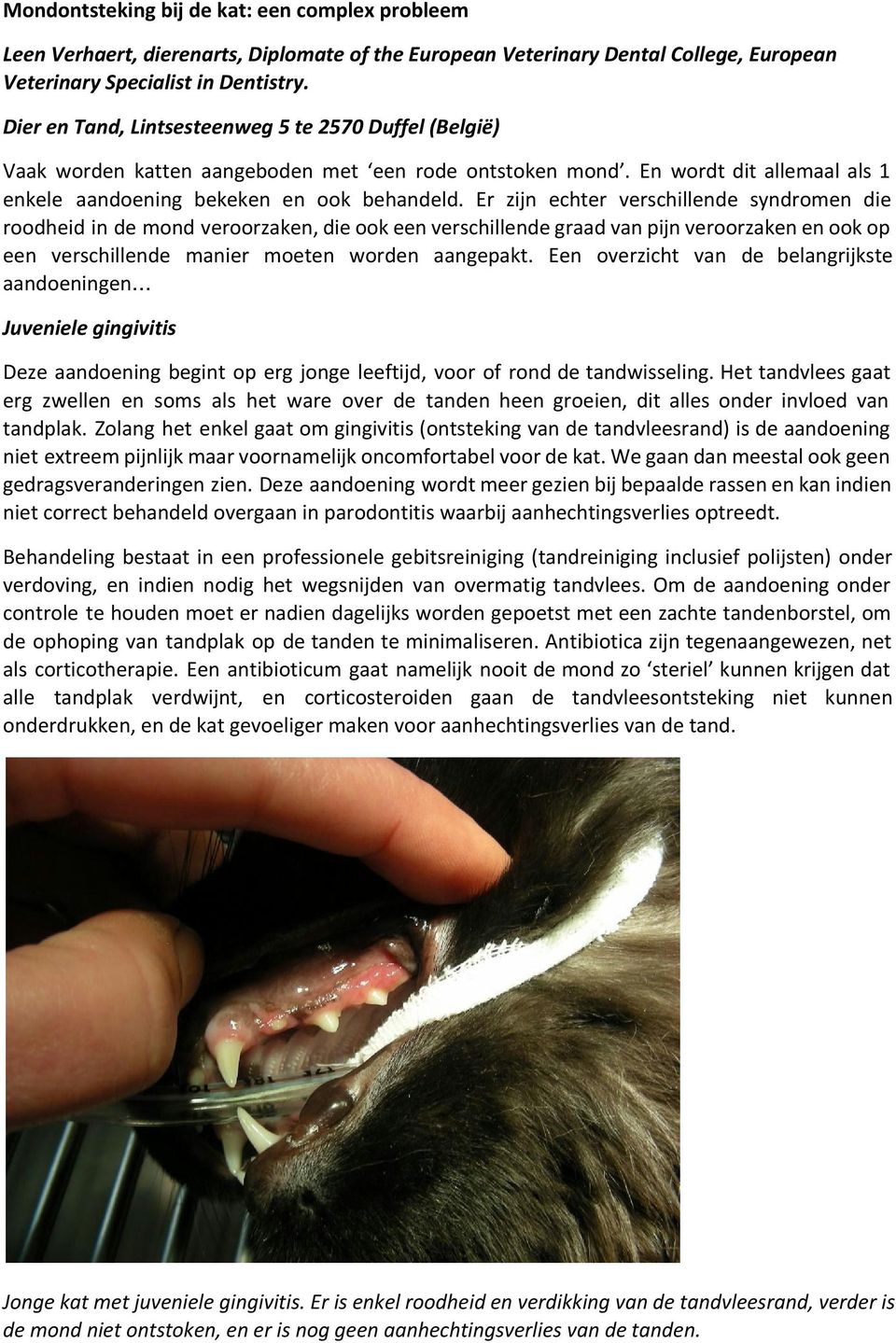 Er zijn echter verschillende syndromen die roodheid in de mond veroorzaken, die ook een verschillende graad van pijn veroorzaken en ook op een verschillende manier moeten worden aangepakt.