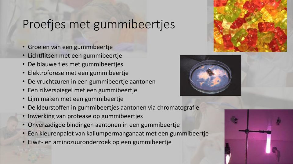 een gummibeertje De kleurstoffen in gummibeertjes aantonen via chromatografie Inwerking van protease op gummibeertjes Onverzadigde