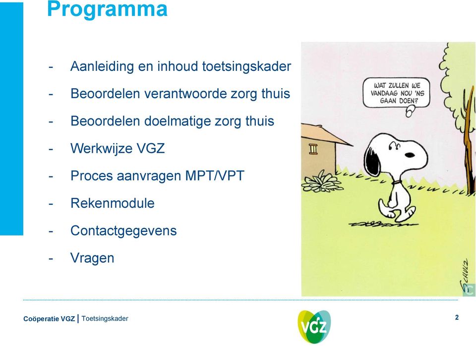 doelmatige zorg thuis - Werkwijze VGZ - Proces